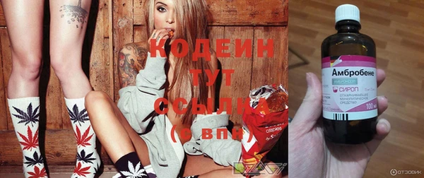 крисы Абинск